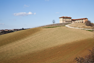 Image showing Italian villa with vineyard: spring season