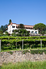 Image showing Italian charming villa in vineyard