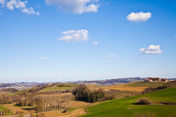 Image showing Italian villa with vineyard: spring season