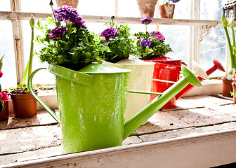 Image showing Garden - Watering can