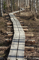 Image showing Trail