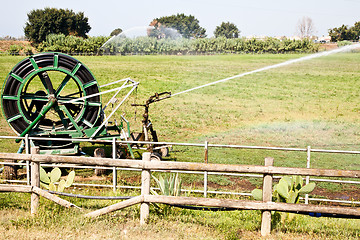 Image showing Irrigation