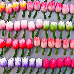 Image showing Tulips made of wood