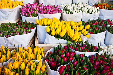Image showing Amsterdam flowers market