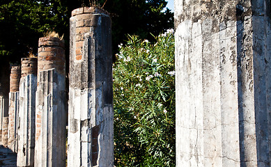 Image showing Pompeii - archaeological site