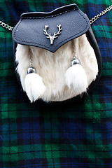 Image showing Scottish kilt