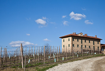 Image showing Italian villa with vineyard: spring season