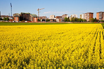 Image showing Building in the country