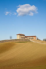 Image showing Italian villa with vineyard: spring season