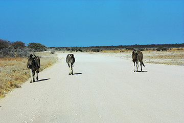 Image showing Three zebras, one road