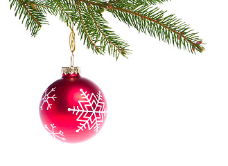 Image showing red ball hanging from spruce christmas tree