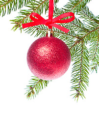 Image showing red christmas ball hanging from tree