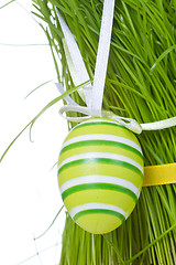 Image showing easter eggs in grass