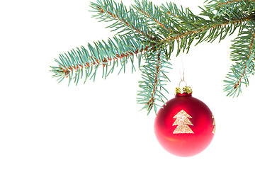 Image showing red christmas ball on branch