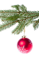 Image showing red ball hanging from spruce christmas tree