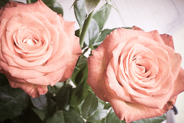 Image showing rose bouquet