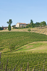 Image showing Typical Tuscan landscape