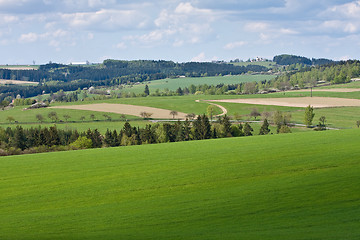 Image showing green field