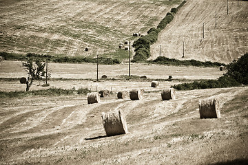 Image showing Typical Tuscan landscape