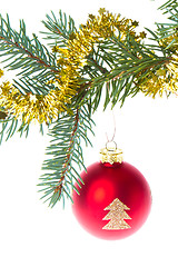 Image showing red christmas ball on branch