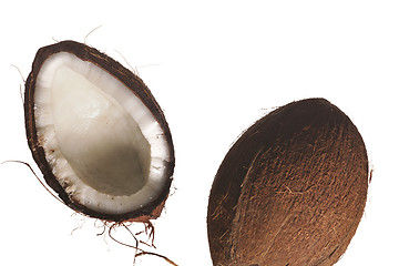 Image showing coconut