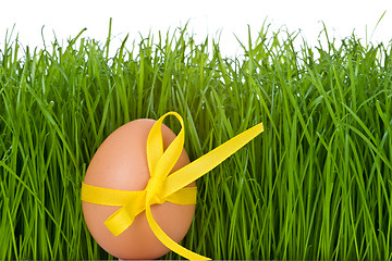 Image showing easter egg and grass