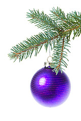 Image showing ball hanging from spruce christmas tree