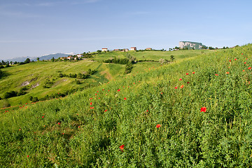 Image showing Typical Tuscan landscape