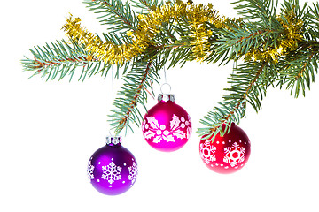 Image showing christmas balls on spruce branch