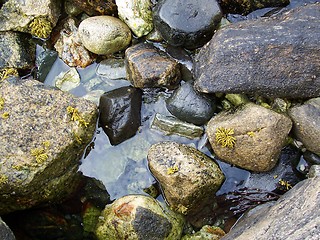 Image showing Wet rocks