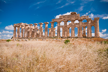 Image showing Greek temple in Selinunte