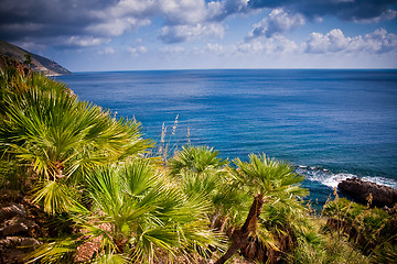 Image showing Zingaro Natural Reserve, Sicily