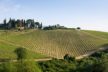 Image showing Typical Tuscan landscape