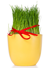 Image showing easter grass