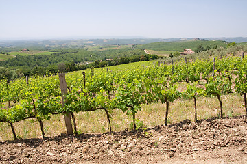 Image showing Typical Tuscan landscape