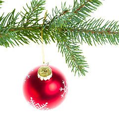 Image showing red christmas ball on branch