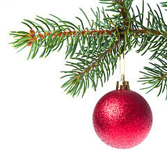 Image showing christmas ball on branch