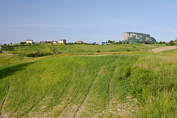 Image showing Typical Tuscan landscape