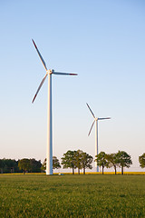 Image showing windmill  farm in the rape field