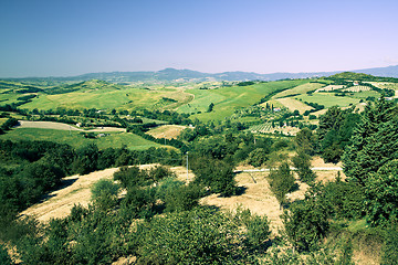 Image showing Typical Tuscan landscape