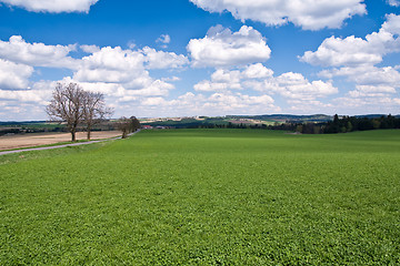 Image showing green field