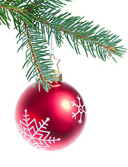 Image showing ball hanging from spruce christmas tree