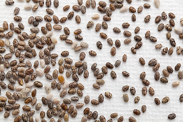 Image showing chia seeds on canvas