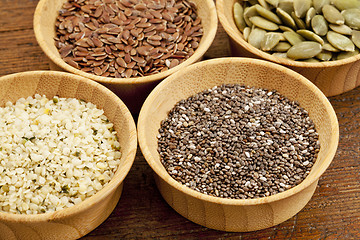 Image showing chia and other healthy seeds