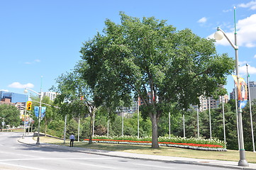 Image showing Downtown Ottawa