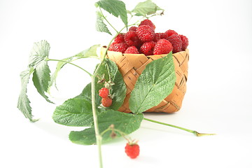 Image showing Raspberries in a basket