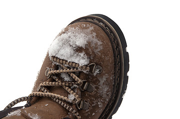 Image showing Snow-covered hiking boot