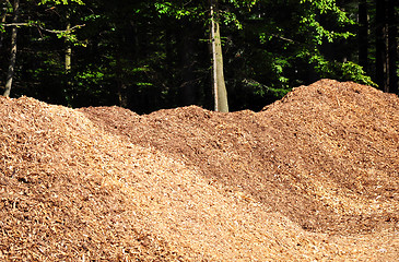 Image showing Wood chips