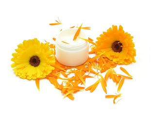 Image showing Hand-made beauty cream with flowers (calendula)
