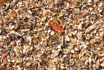 Image showing Corn threshing waste